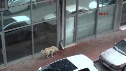 Yozgat'ta Dolu Yağışı Kent Merkezini Beyaza Bürüdü