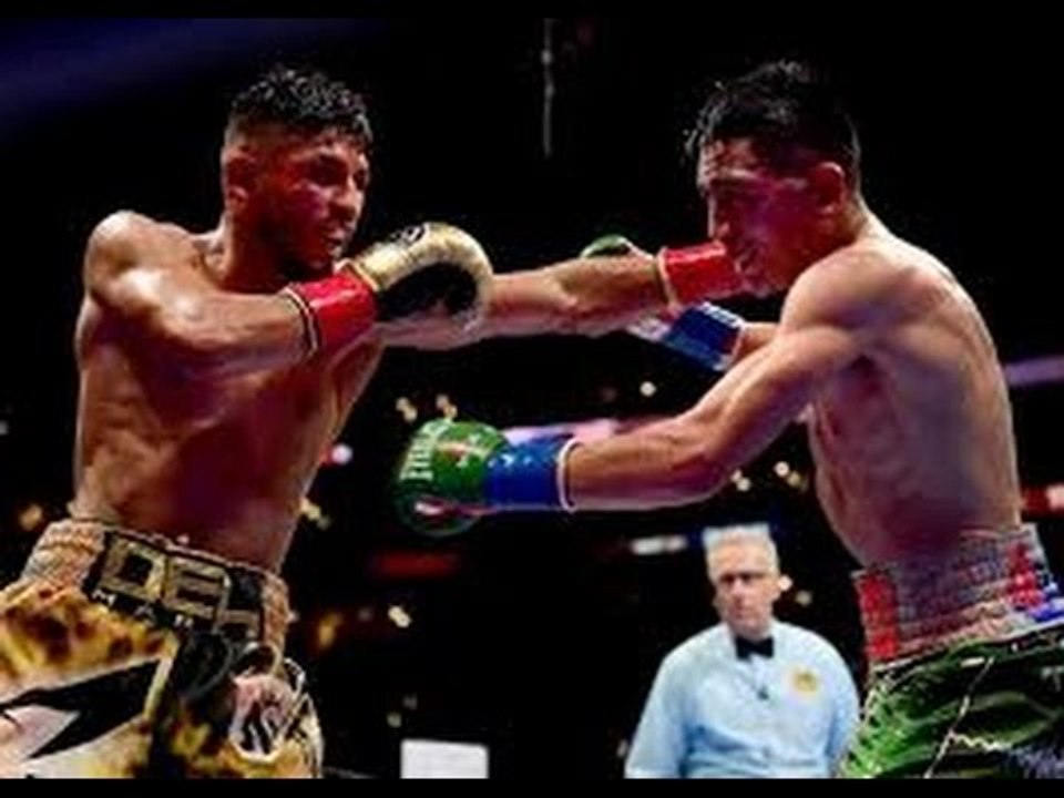 Santa Cruz vs Mares REMATCH? Leo BREAKS DOWN Garcia/Guerrero - EsNews Boxing