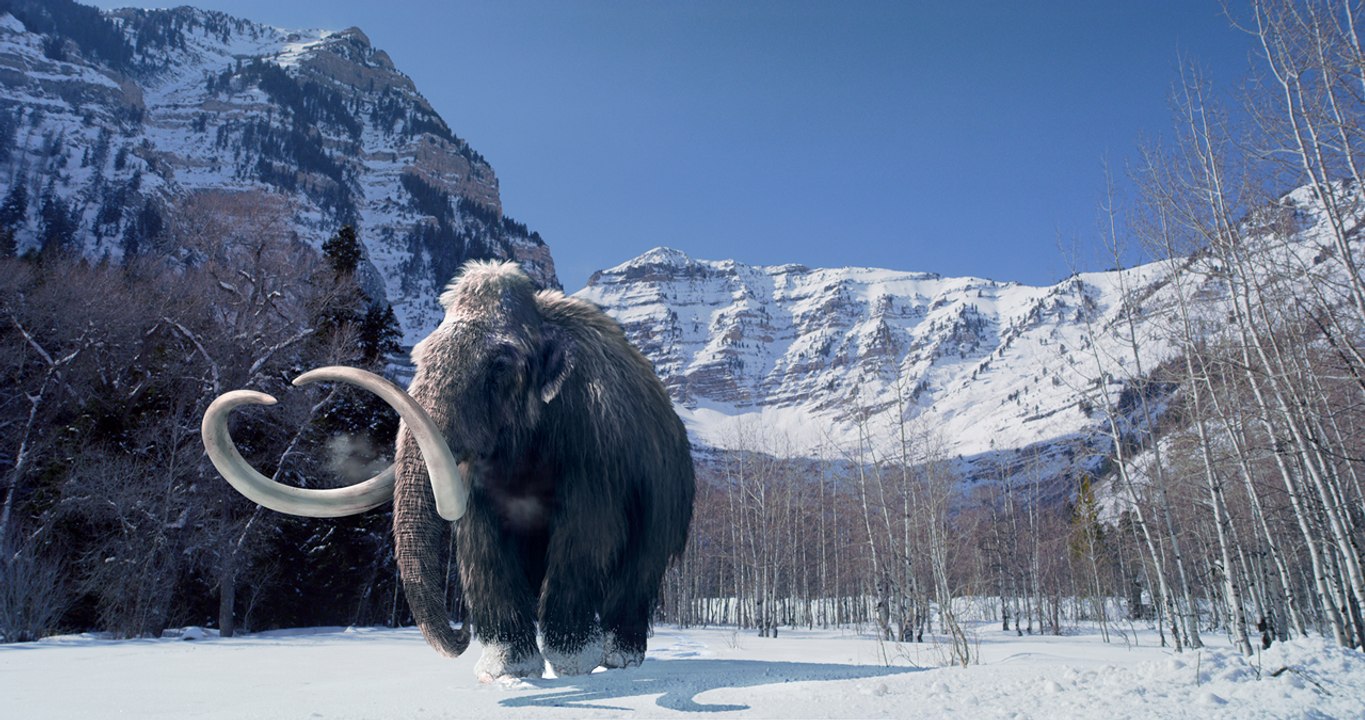 Earth Heading for 'mini ice age' Within 15 Years