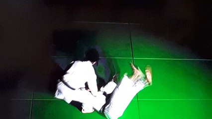 La danse des kimonos- arte