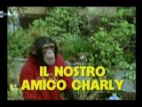 Il nostro amico Charly 7x02 - Gioielli d’acqua dolce