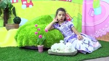 Prenses Sofia ve kuş yavrusu! #Türkçeizle çocuklar için eğitici video!