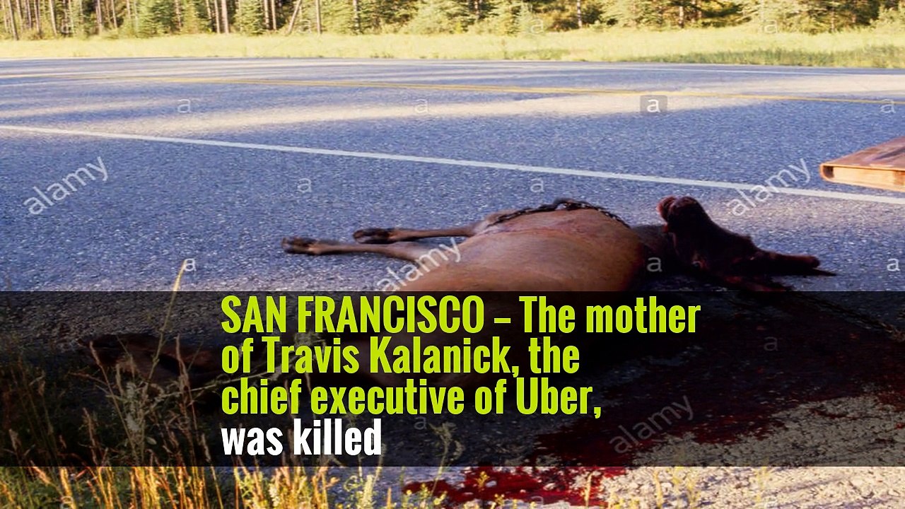 Mother of Uber Chief Executive Killed in Boating Accident -