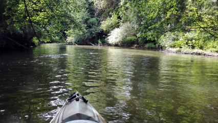 Descente sur l'Eure (mai 2017)