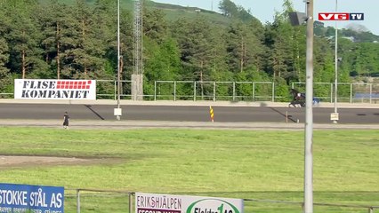 Un cheval s'empale sur une barrière