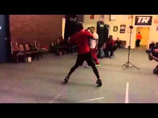 Nonito Donaire sick power on heavybag