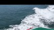 Dolphins Ride Wake Behind Malibu Lifeguard Boat