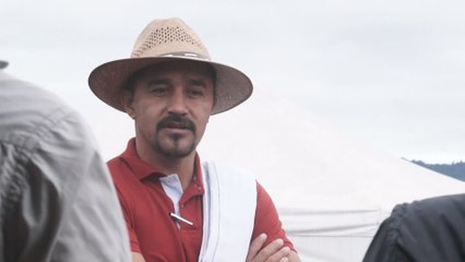 Expectativa en las FARC ante vencimiento este lunes del plazo para desarme