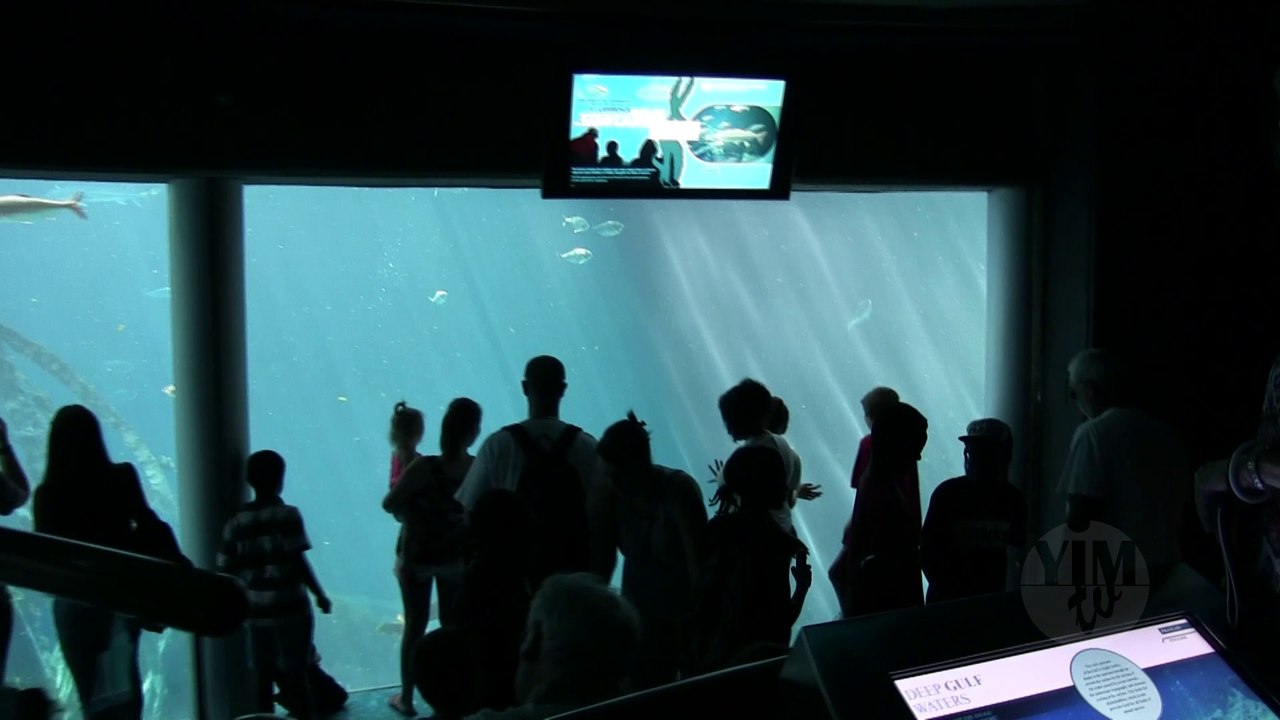 The Montreal Biodôme de Montréal