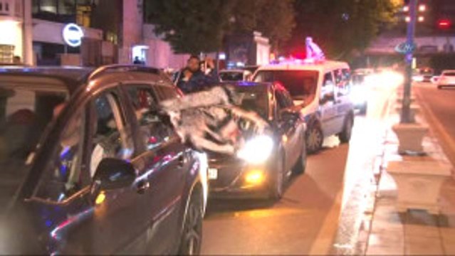 Beşiktaşlılar Şampiyonluğun Coşkusunu Başkent Sokaklarında Yaşadı