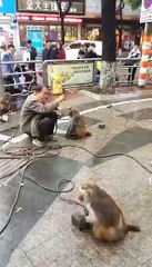 VID-20170506-WA0000