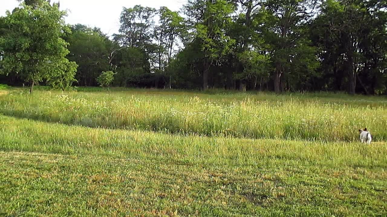 Je vous offre 2 minutes de bonheur