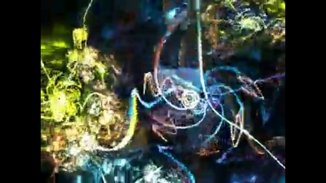 "Example of the Twelve Bar Blues with crazy Solo in Just Intonation" by Dave Ryan