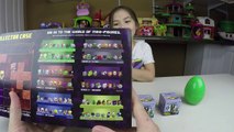 MINECRAFT SURPRISE BLIND BOXES Toy Collector Case   POKEMON GO SURPRISE EGG CHALLENGE Toys