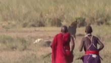 Wild Animal Attack Wild boar Attack Humans Pitbull Angry Lion Attack Man Humans