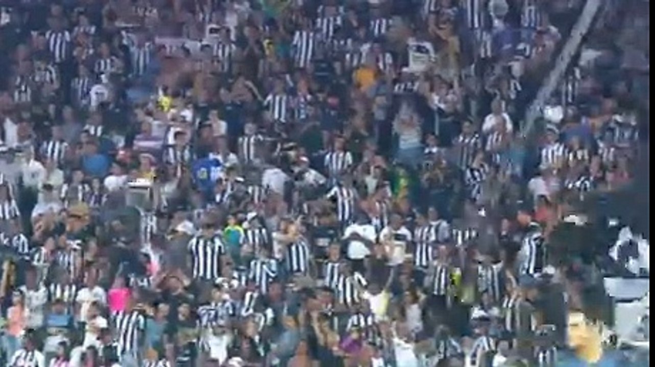 Botafogo - Bahia 1-0