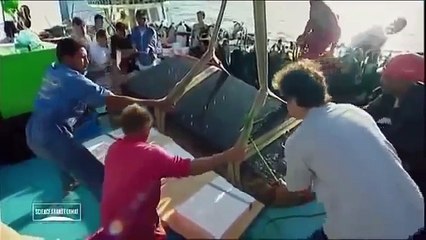 Egypte | La mystérieuse cité engloutie sous la mer Méditerranée