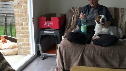 72ème Vidéo Maman et ses p'tits Oeufs de STAFFORDLAND