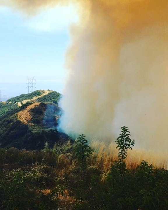 Over 100 Firefighters Respond to Brush Fire in Brentwood