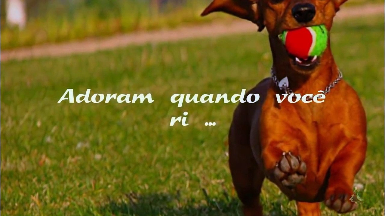 FAZ CHORAR (subtitled) mas vale a pena (COMPARTILHE! Conscientização Emocionante).
