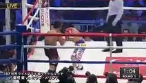 井上尚弥＆八重樫東 ダブル世界戦～ボクシングフェス2017 SUPER 2DAYS～ 2017年5月21日