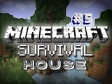 Minecraft Survival: 