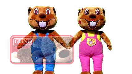 'Busy Beavers From Amazon' _ Buy Bill
