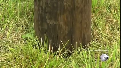 How It's Made - HYDRAULIC POST DRIVERS (2)