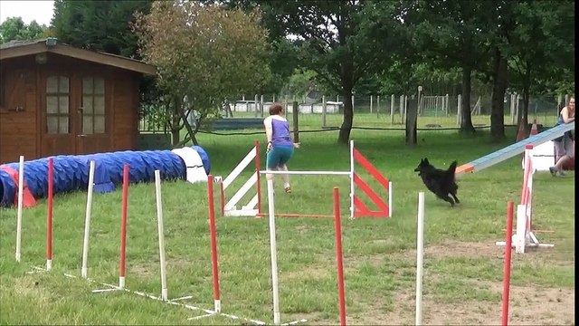 heaven agility entrainement avec Reynald