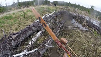 Un chasseur se fait charger par un ours noir