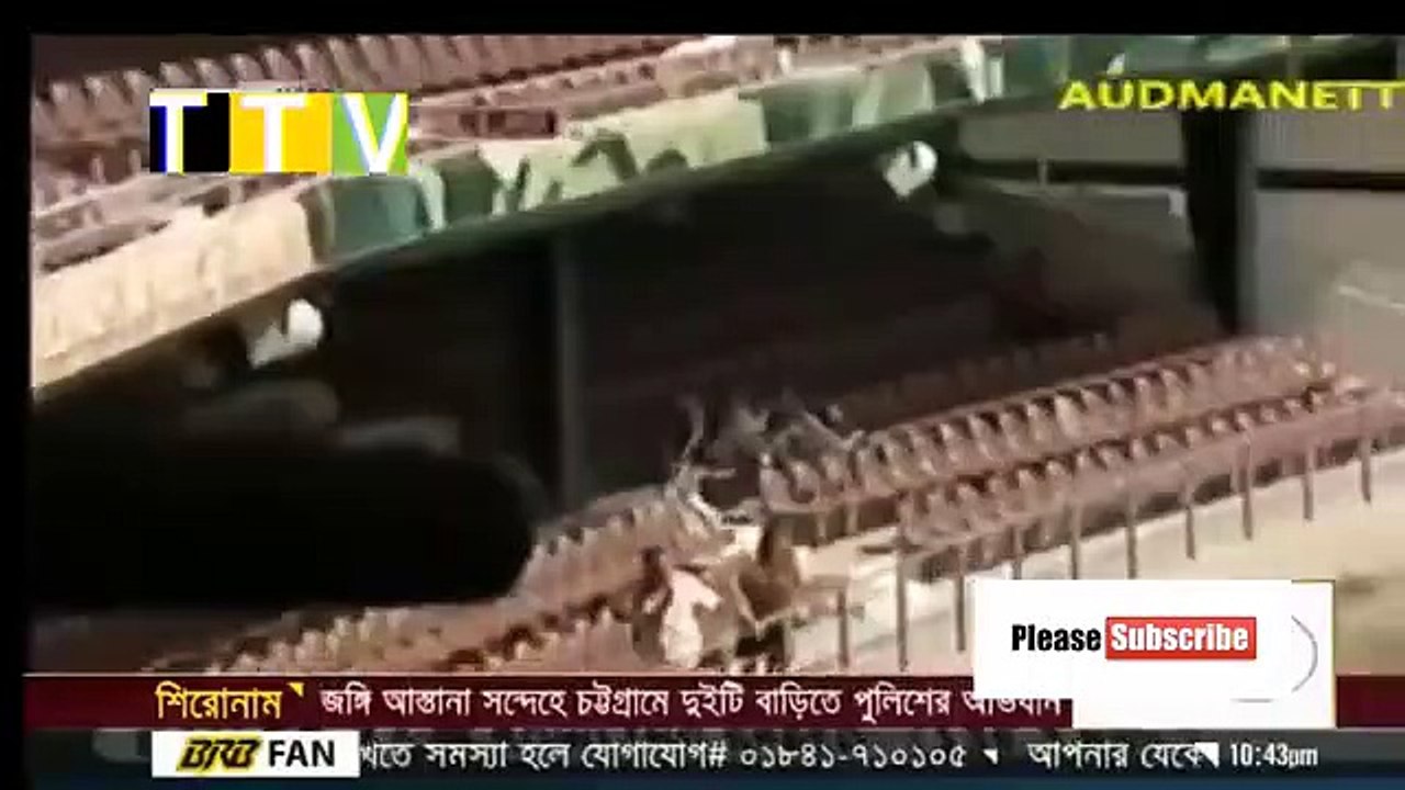 Tamim Iqbal’s birthday today _ Today is the 29th birthday of Tamim Iqbal.