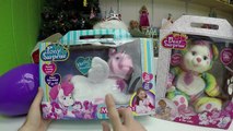 CUTE Pony Surprise Toys & Colorful Bear Toy Surprises   Giant Egg Surprise