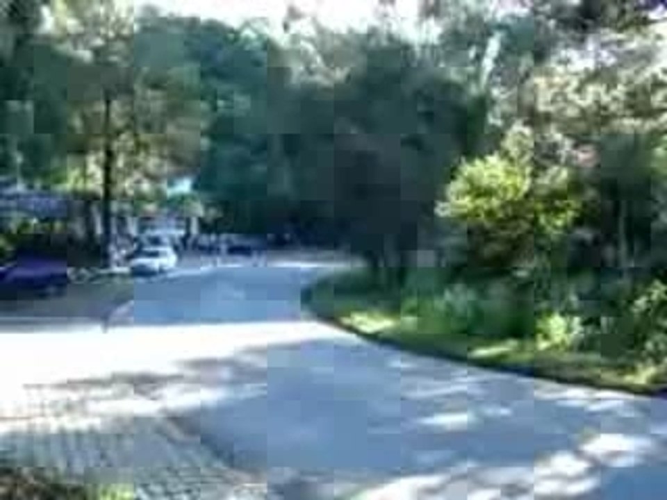 Hayabusa  Vs Ducati