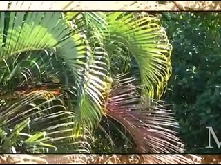 Luxury Rehab Hawaii