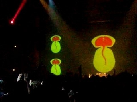 Name Festival Modeselektor