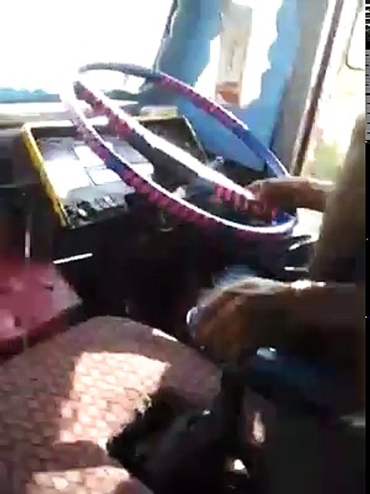 Amazing Truck Driver