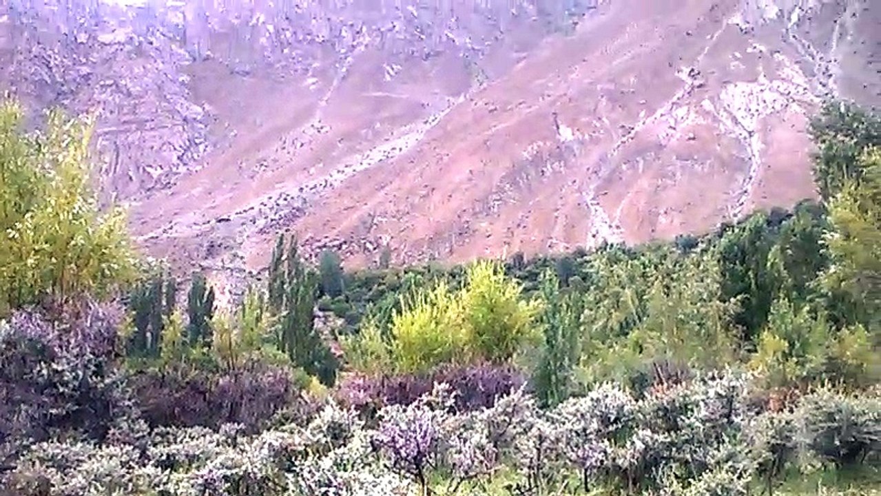k2 areya