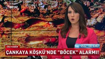 Beyaz Tv Ana Haber 28 Mayıs 2017