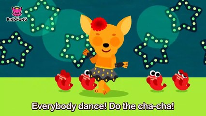 Animal Rhythms _ Animal Songs _ PINKFON