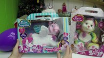 CUTE Pony Surprise Toys & Colorful Bear Toy Surprises asd  Giant Egg Surprise Openin
