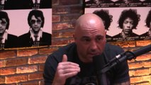 Joe Rogan and Gavin McInnes on Milo Yianno