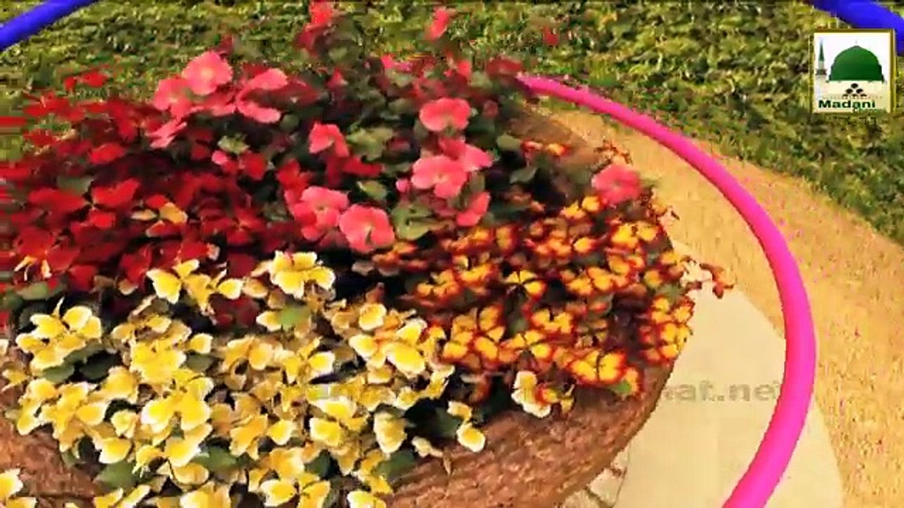 Short Bayan - Tauba Ki Ahmiyat - Abdul Habib Attari Madani Guldasta 87