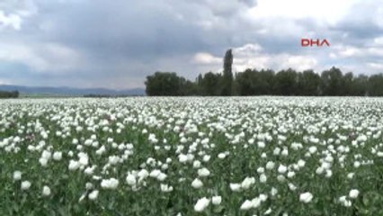 Afyon Ovası Beyaza Büründü
