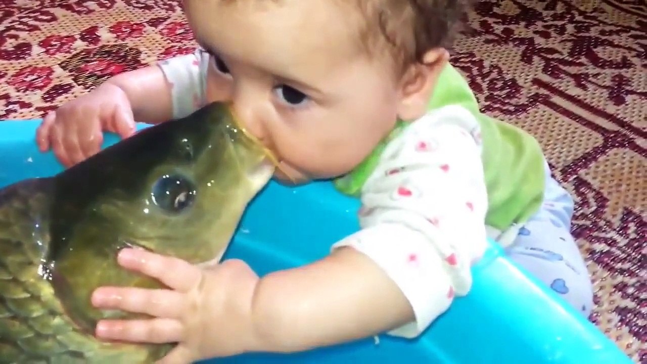 Clip 31 cute baby and funny baby videos