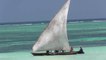 Beautiful Zanzibar (Tanzania) - Holidays in the Indian Ocean-Ahwg0CsK06