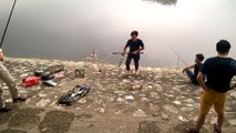 Đồ Câu Cá Giá Rẻ - Vlog đi câu cá ngày #1