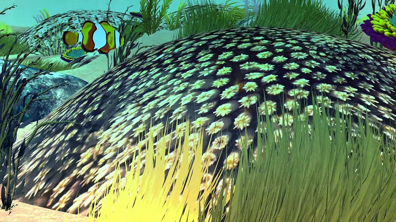 La Grande Barrière de corail