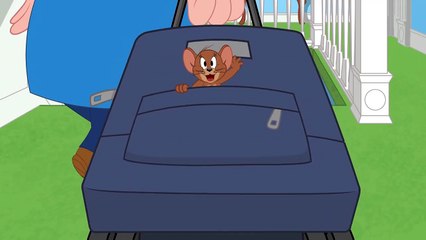 Tom & Jerry _ Dumb Cat _ Boomerang UK-mXdXHS56mao