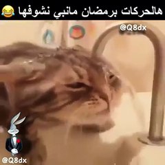 بطلو هل حركات