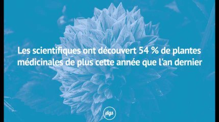 Les scientifiques ont découvert 54 % de plantes médicinales de plus cette année que l'an dernier